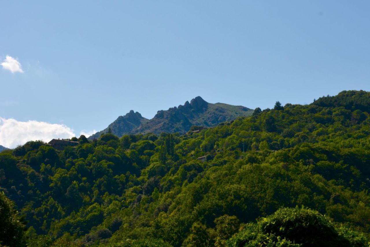 La Maison De Laligier Jaujac Buitenkant foto